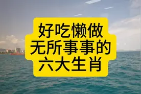 好吃懒做，无所事事的六大生肖视频封面