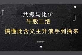 牛股绝技之，共振与比价的核心精髓，搞懂此含义主升浪手到擒来！视频封面