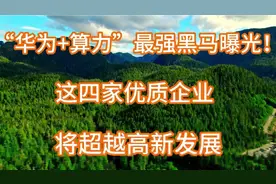 “华为+算力”最强黑马曝光！这四家优质企业将超越高新发展视频封面