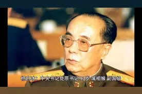 杨白冰上将的家族成员一览！视频封面