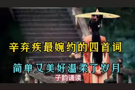 辛弃疾最婉约的四首词，简单又美好，惊艳了时光，温柔了岁月…视频封面