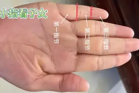 小指看子女，指节比例看性格