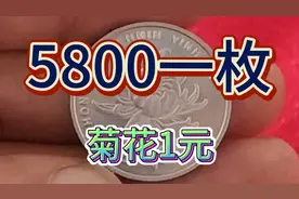 这种菊花1元硬币一枚价值5800看看你家有没有#爱收藏