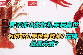 男子洗小龙虾扎手后离世，为何虾扎手也会致命？正确处置方式？视频封面
