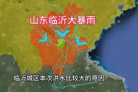 山东临沂突降大暴雨。老百姓抗了一个月旱了，突然又该排洪了