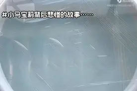 小马宝莉背后的故事#未成年别看