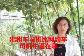 出租车比网约车司机牛逼在哪？北京网约车司机@上海出租车司机视频封面