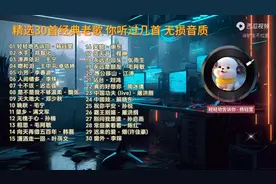 经典老歌30首，满满的回忆，致敬90年代。无损音质，歌词显示