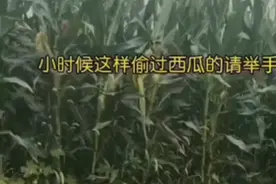 60后回忆，回忆小时候的事情视频封面