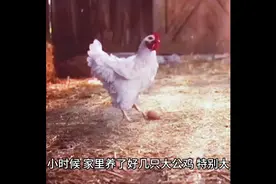 澡堂拉屎搞笑段子视频封面