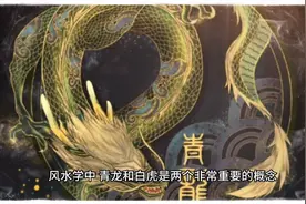 老风水师常谈:青龙和白虎是房子布局最重要位置视频封面