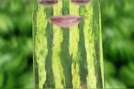 我没有表情包了，谁能给我一点视频封面