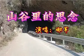 盘点2024年播放量过亿的十首歌，第一首《山谷里的思念》。