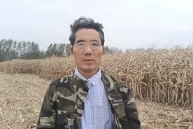 今年种一亩地的玉米能卖多少钱？视频封面