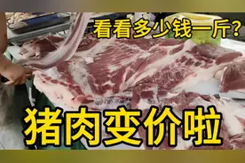 辽宁猪肉又变价啦，8月29日大家看看多少钱一斤，大家说便宜吗？视频封面