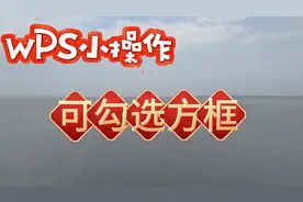 WPS小操作：如何输入可勾选方框
