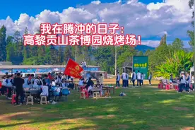 我在腾冲的日子：高黎贡山茶博园烧烤场！视频封面