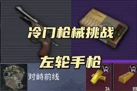 冷门枪械挑战第十二期，左轮手枪  #地铁逃生泽谦视频封面