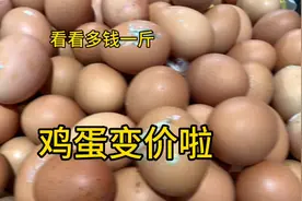 陕西鸡蛋变价太吓人了，2月13日看超市卖多钱一斤？看完大吃一惊视频封面