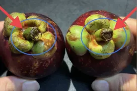 原来山竹上有个小机关，轻轻一按，完整打开整个山竹，不脏手流汁