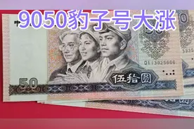 9050豹子号大涨视频封面