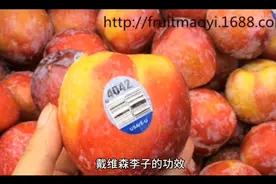 戴维森李子的功效