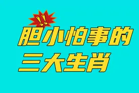 胆小怕事的，五大生肖！视频封面