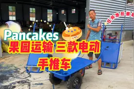 果园运输使用，的三款电动手推车这三款 任何地形都能用视频封面
