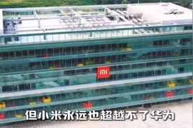 买华为是买国运，选小米是选实惠！视频封面