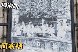 今早雨中游上海崇明东风农场，场部楼和宿舍仍在，知青们音犹在耳