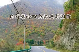 自驾秦岭四条绝美老国道，你想知道吗？不容错过。视频封面