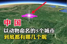 中国，以动物命名的5个城市，到底都有那些呢视频封面