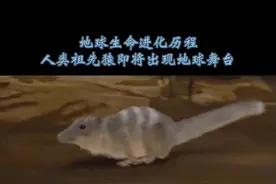 6500万年前地球第五次生物灭绝，真正意义上的人类祖先陆续出现了#探索宇宙 #生命起源之谜 #进化史视频封面
