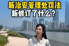 被打可以还手！未成年人加强保护！宠物伤人拘留！小刑法新修订~和你的生活息息相关 #法律知识 #法律咨询