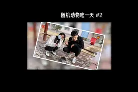 一天只吃牛肉是幸福还是痛苦？ #随机动物视频封面