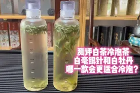 测评白茶冷泡茶，白毫银针和白牡丹哪一款会更适合冷泡？