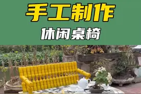 家里的塑料瓶别扔了，它还有你意想不到的利用价值 #手工 #创意视频封面