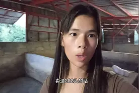 广东猪仔价30斤550，出一斤8元，买一只夸一只钱，好难啊视频封面