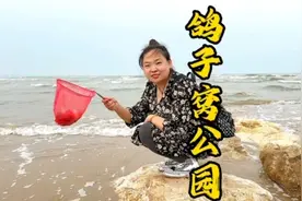 浪漫520，相约鸽子窝赶海节吧#520浪漫出游攻略