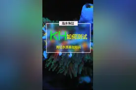 #东杰聊海 #海缸 海水珊瑚鱼缸的KH如何调整呢？今天聊一聊，顺便测测鱼缸的KH！海缸水质介绍系列@抖音短视频