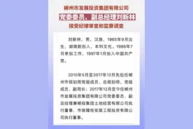 刘新林接受审查调查#湖南之声 #湖南dou知道 #本地新闻 #民生关注 #郴州视频封面
