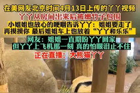 丫丫回国细节披露，由美国联邦快递送达上海浦东国际机场#大熊猫丫丫