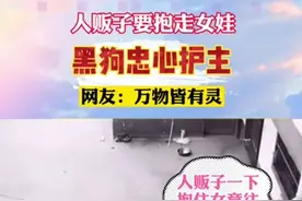 人贩子要抱走女娃，黑#狗忠心护主，网友：#万物皆有灵@抖音短视频视频封面