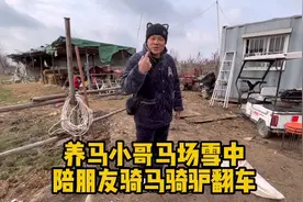 养马小哥陪朋友马场翻车现场太搞笑了！#养马日常视频封面