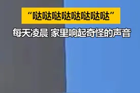 山东济南，“哒哒哒哒哒哒”每天凌晨，家里总响起奇怪的声音！像闹钟一样准时...（1）视频封面