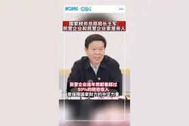 国家税务总局局长王军：民营企业和民营企业家是亲人视频封面