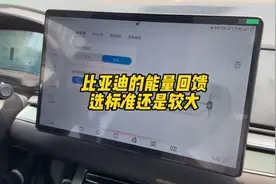 比亚迪的能量回馈是选标准还是较大？这两者有什么区别。#比亚迪