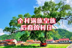 辽宁省有个特殊的村子，全村都是满族而且都是皇族爱新觉罗后裔视频封面