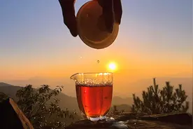 喝茶吧，喝睡不着的茶。 春风不解风情，茶可以！#茶🍵 #人生如茶视频封面