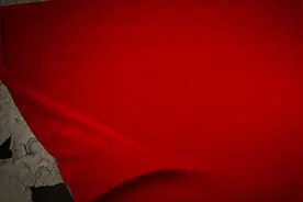 县委书记说党史丨宁波北仑区委书记梁群：传承红色基因视频封面